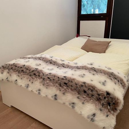 Apartment Sports Tower 30-2 وينتربرغ المظهر الخارجي الصورة